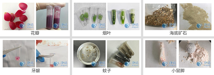 JXFSTPRP-CLN-DT凍臺冷凍研磨儀-研磨案例