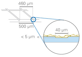 （ibidi）μ-Dish 35 mm帶計數(shù)格培養(yǎng)皿-80156 80151 81166 81161 81148 81168